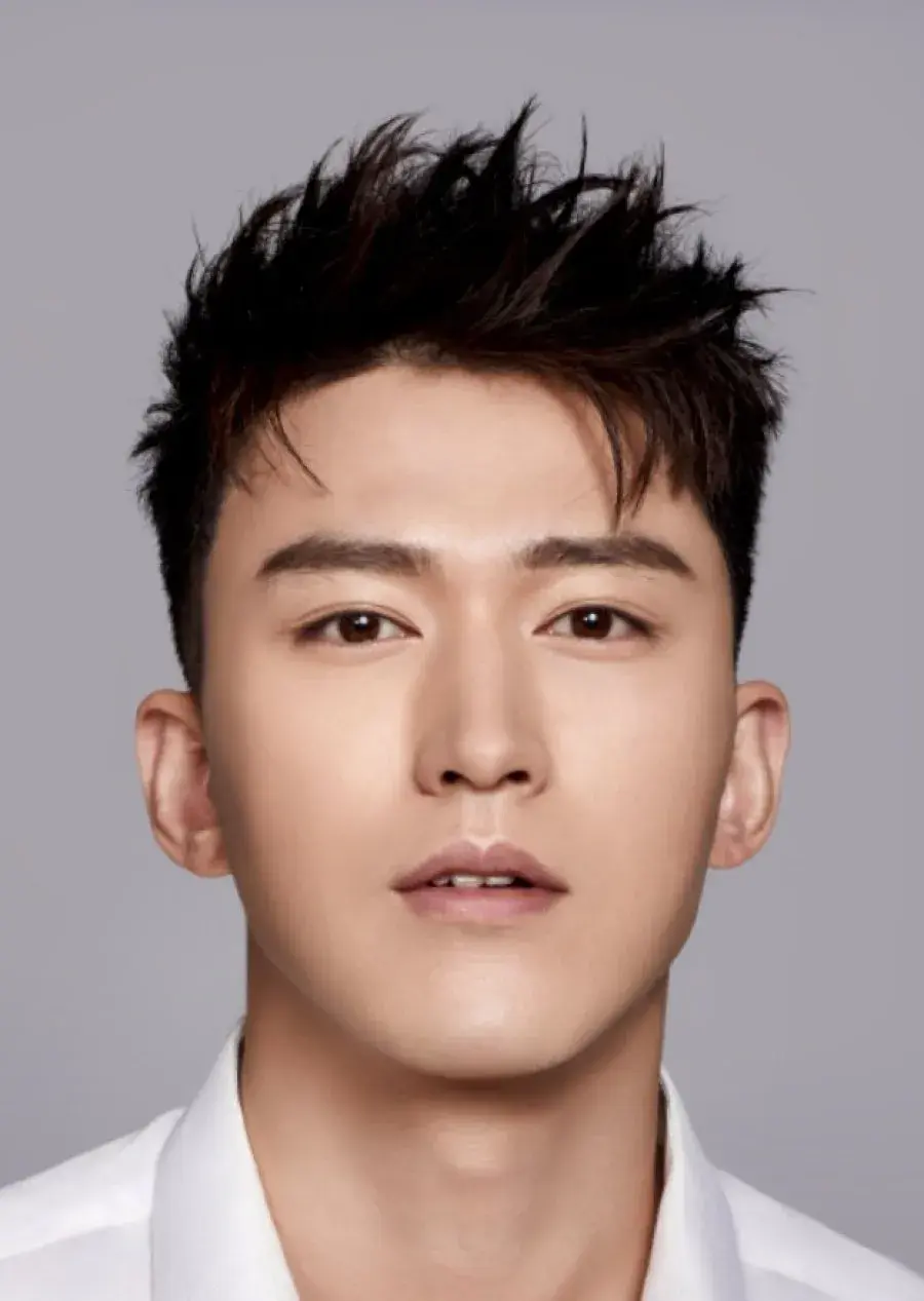 بیوگرافی Li Jun Feng