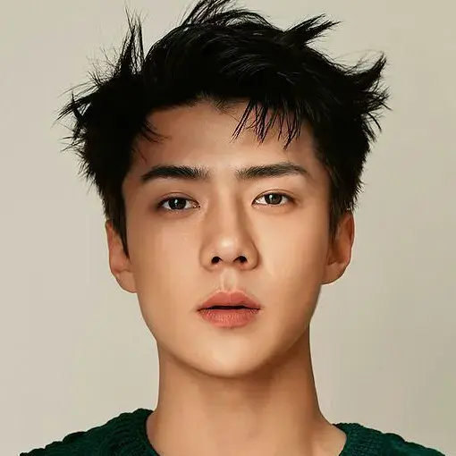 بیوگرافی Oh Se Hun