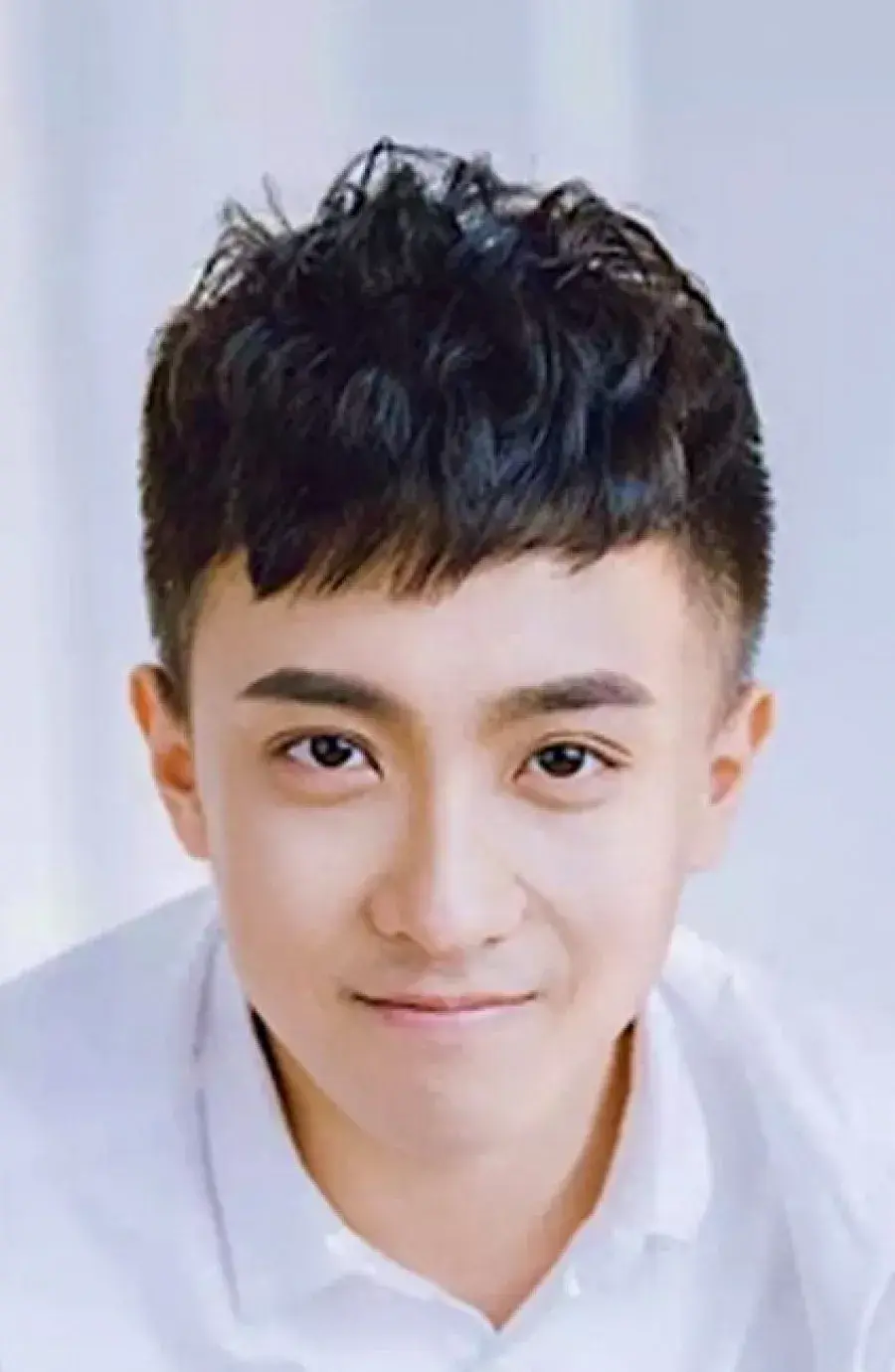 بیوگرافی Li Zheng Yang