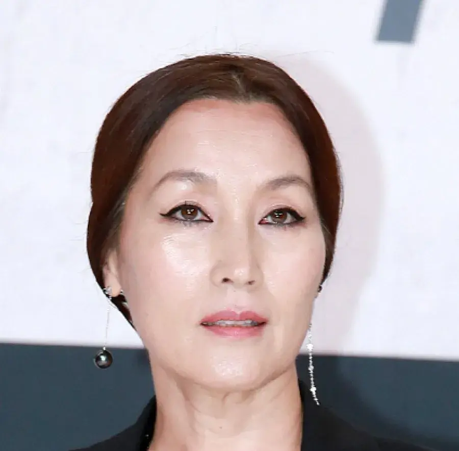 بیوگرافی Lee Hye Young
