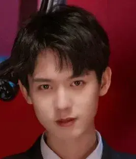 بیوگرافی Zheng Feng