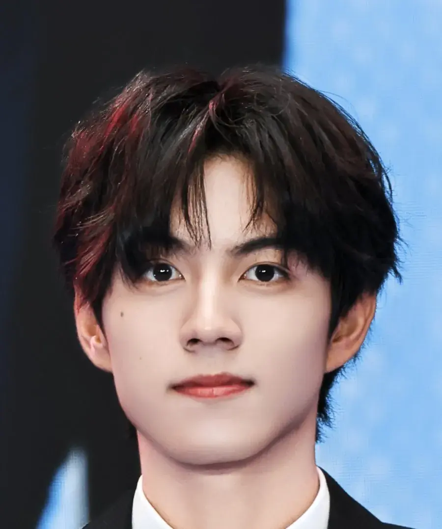 بیوگرافی Zhao Yi Bo