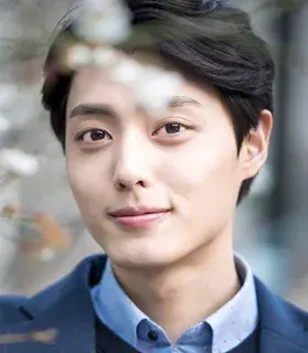 بیوگرافی Lee Pung Woon