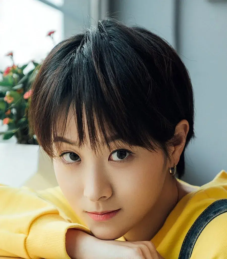 بیوگرافی Zhang Yi