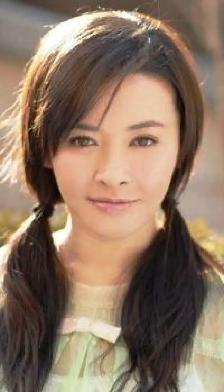 بیوگرافی Zhang Hui