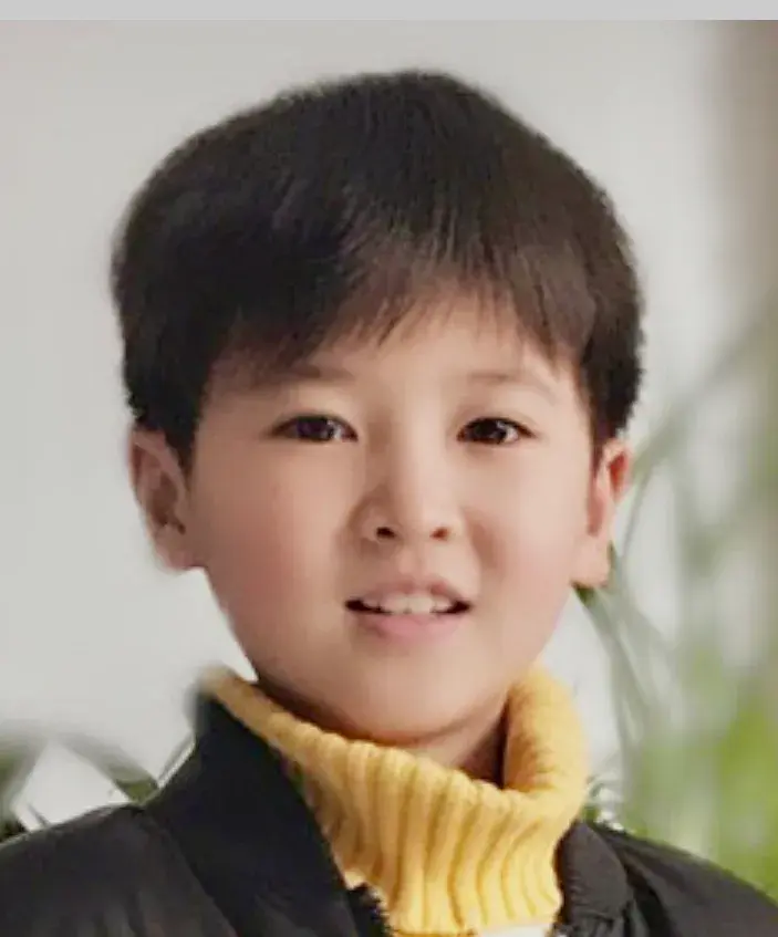 بیوگرافی Wu Ze Jing Xi