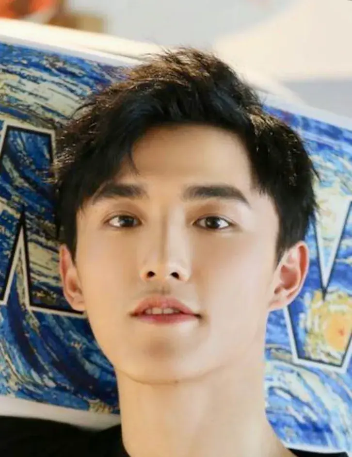 بیوگرافی Wu Jun Chao