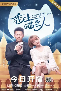 Falling in Love With Cats با زیرنویس فارسی