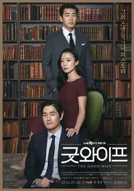 The Good Wife با زیرنویس فارسی