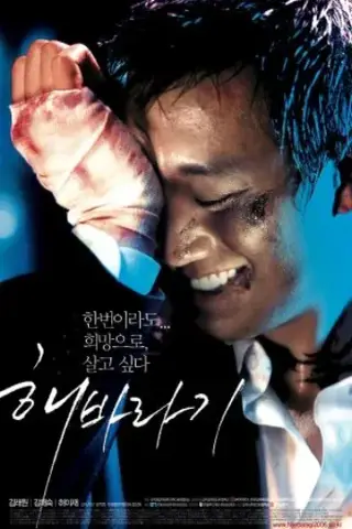 آفتابگردان با زیرنویس فارسی و لینک مستقیم