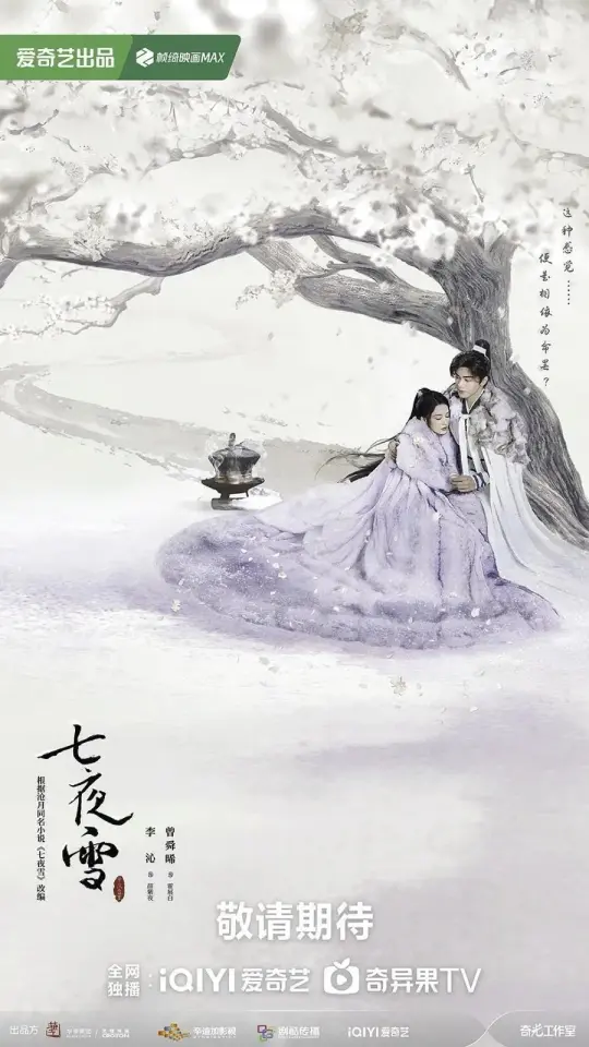 Snowy Night Timeless Love