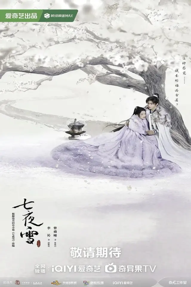 Snowy Night Timeless Love